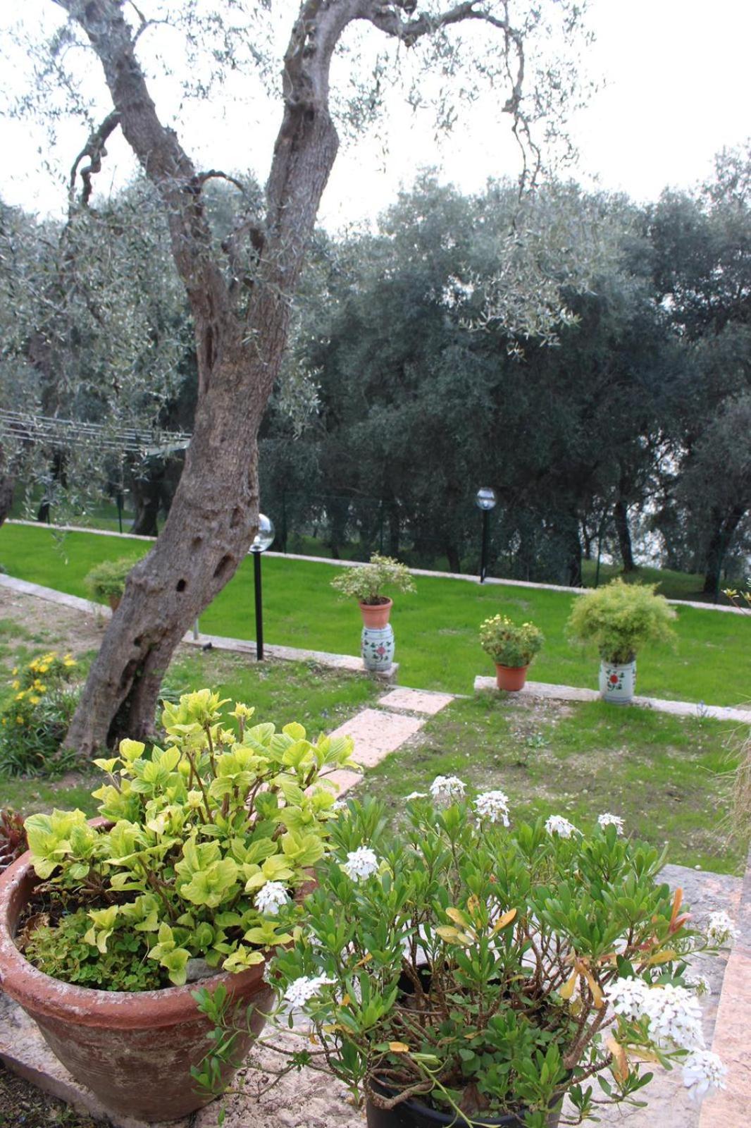 Appartamento Casa Antony Torri Del Benaco Esterno foto